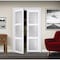 Renin Renin 30 in. x 80 1/2 in. Euro 3-Lite Design Pivot Door PV5402BWFGC030080 - alternate 2